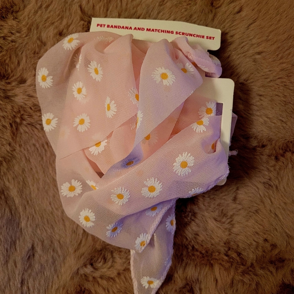 Pet Bandana and Scrunchie Set